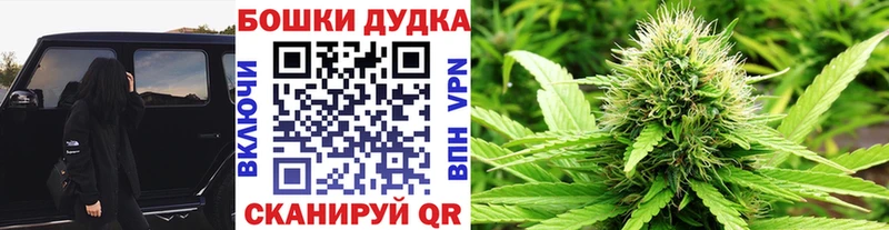 Бошки марихуана план  Краснокаменск 